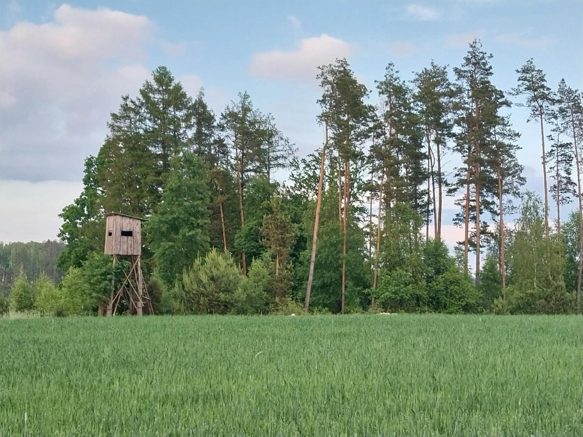 Villa Wypoczynek Kocia Gora Dziemiany Exterior foto
